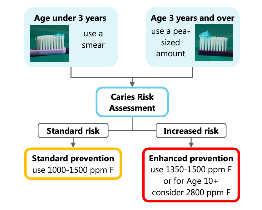 Age under 3 years, use a smear of toothpaste; age 3 years and over, use a pea-sized amount. Carry out a caries risk assessment. For Standard risk, provide Standard prevention and advise use of use 1000-1500 ppm fluoride toothpaste. For Increased risk, provide Enhanced prevention and  advise use of 1350-1500 ppm fluoride toothpaste or, for age 10 and over, consider 2800 ppm fluoride toothpaste.